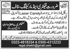 Factory 20 amp 20Marketing 20Staff 20Jobs 20In 20Lahore 202023
