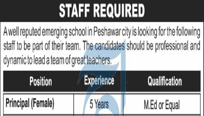 Female Jobs In Peshawar 2023 Advertisement 1