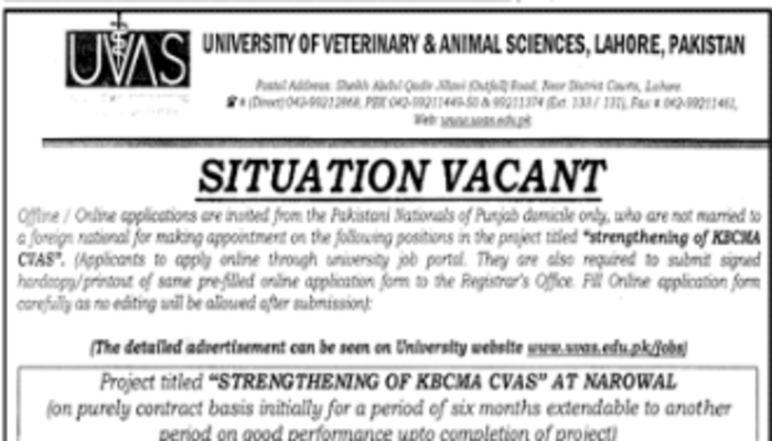 University Of Veterinary Animal Sciences Jobs In Lahore 2023 1